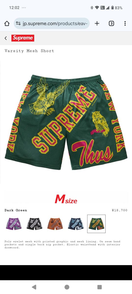 Supreme Emilio Pucci Soccer Short Blue シュプリーム ハーフパンツ