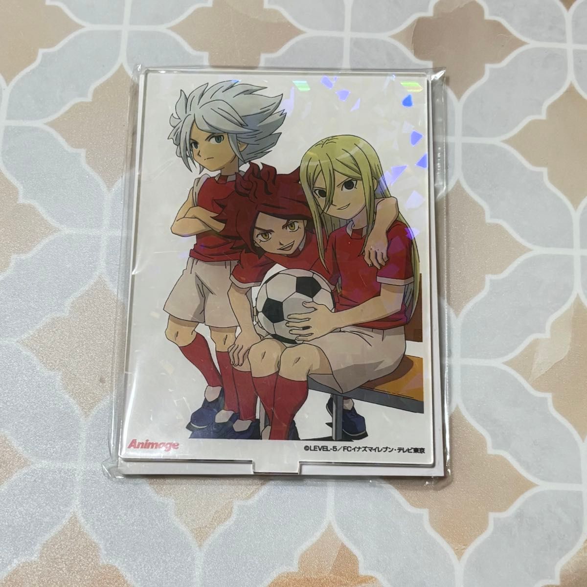 イナズマイレブン ガゼル バーン