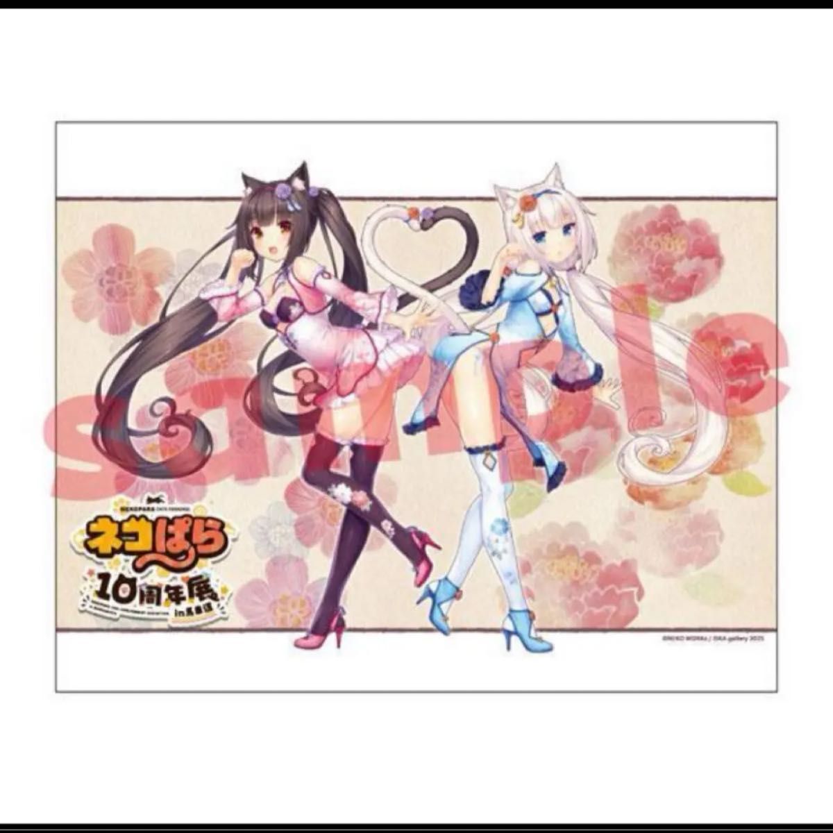 美品　ネコぱら　タペストリー ネコぱら タペストリー