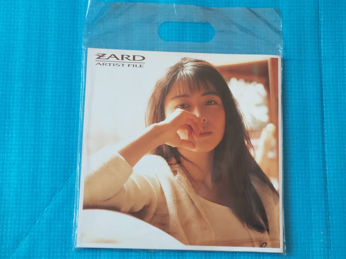 坂井泉水 写真