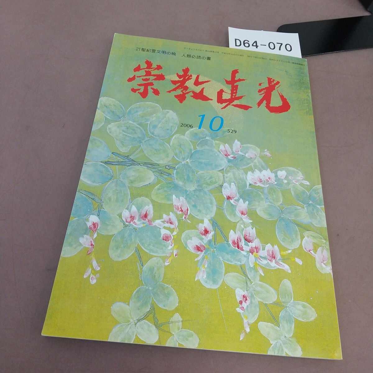 崇教真光
