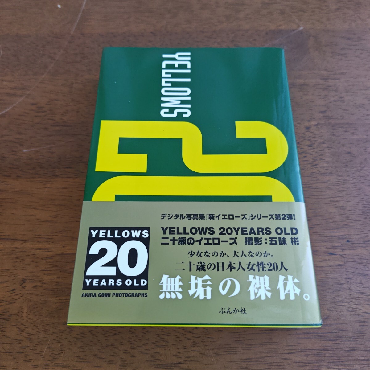 五味彬 yellows