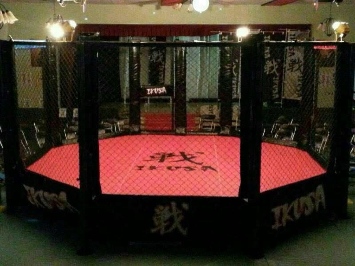 Martial Arts Cage Ring