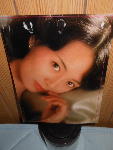 島田 陽子