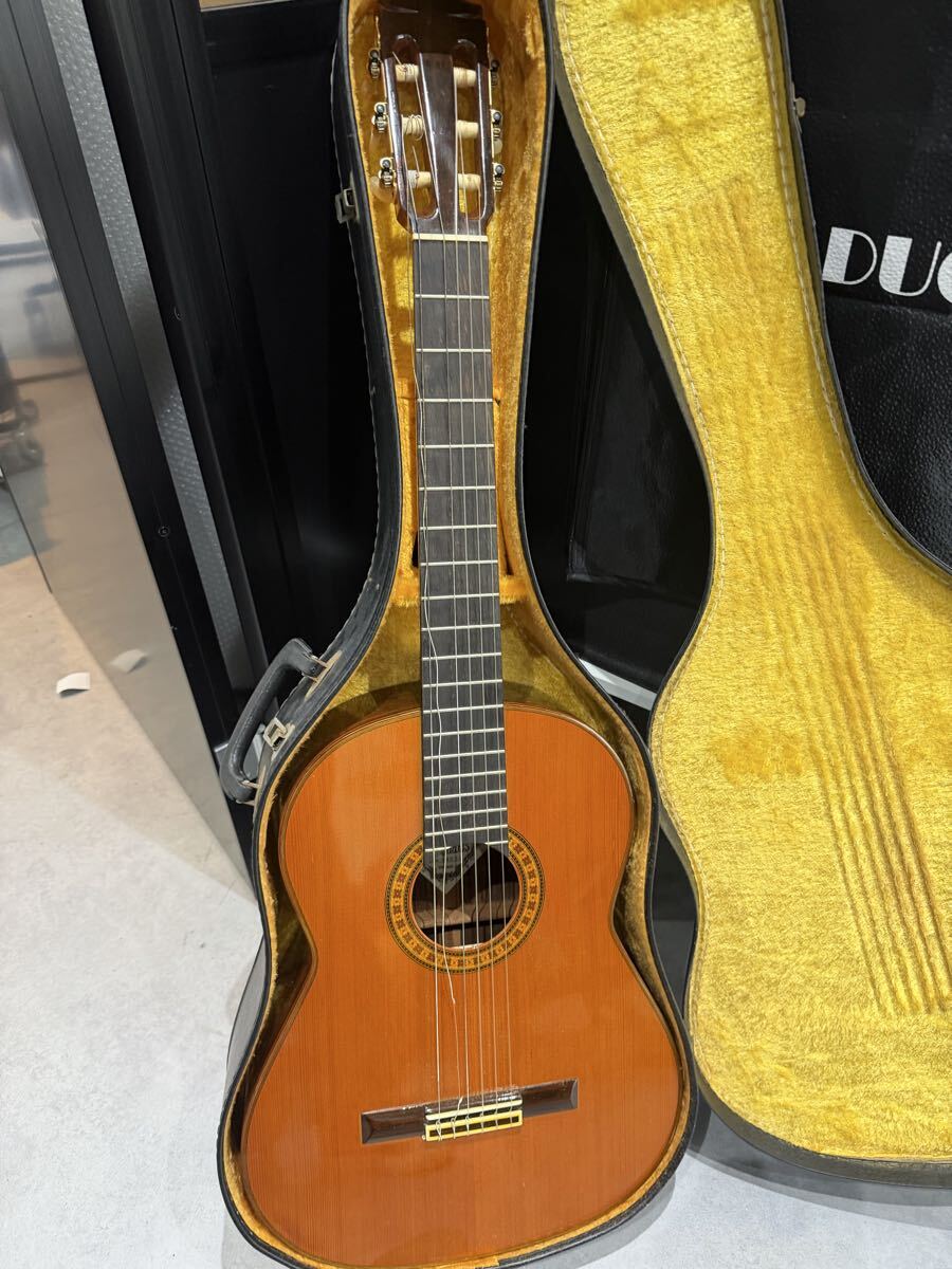 Classical Guitars Comes with a hard case String Instruments