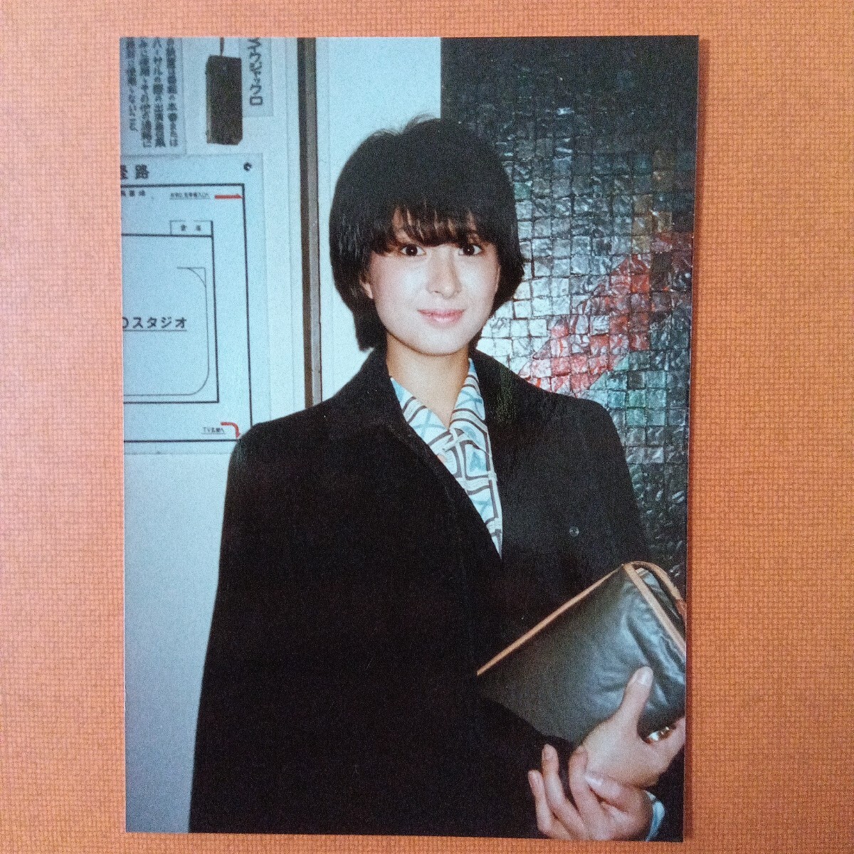 河合奈保子 写真