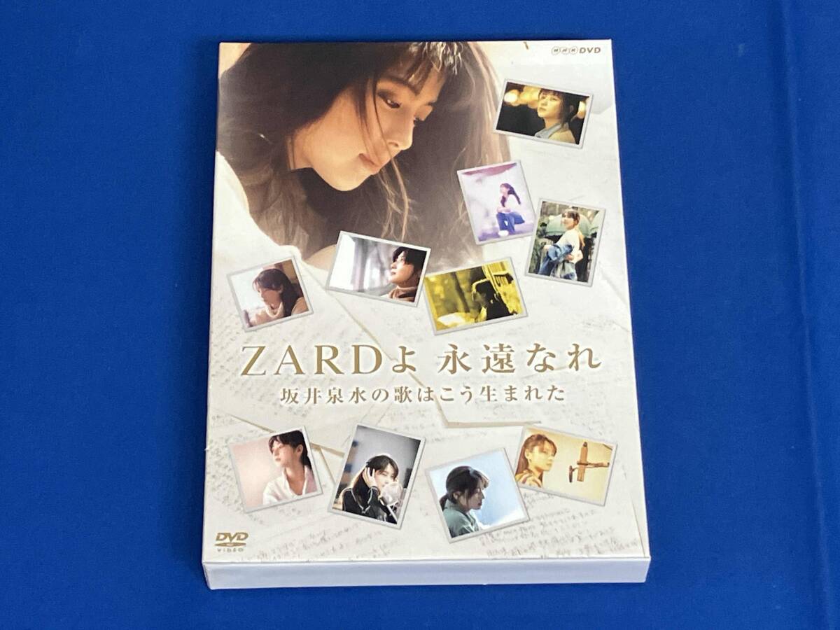 zard坂井泉水