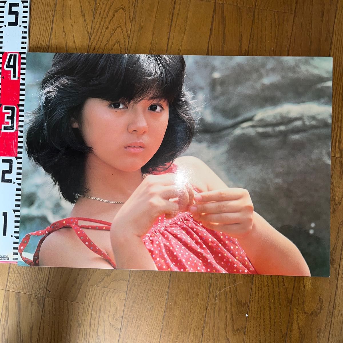 薬師丸ひろ子 ポスター 薬師丸ひろ子 ポスター