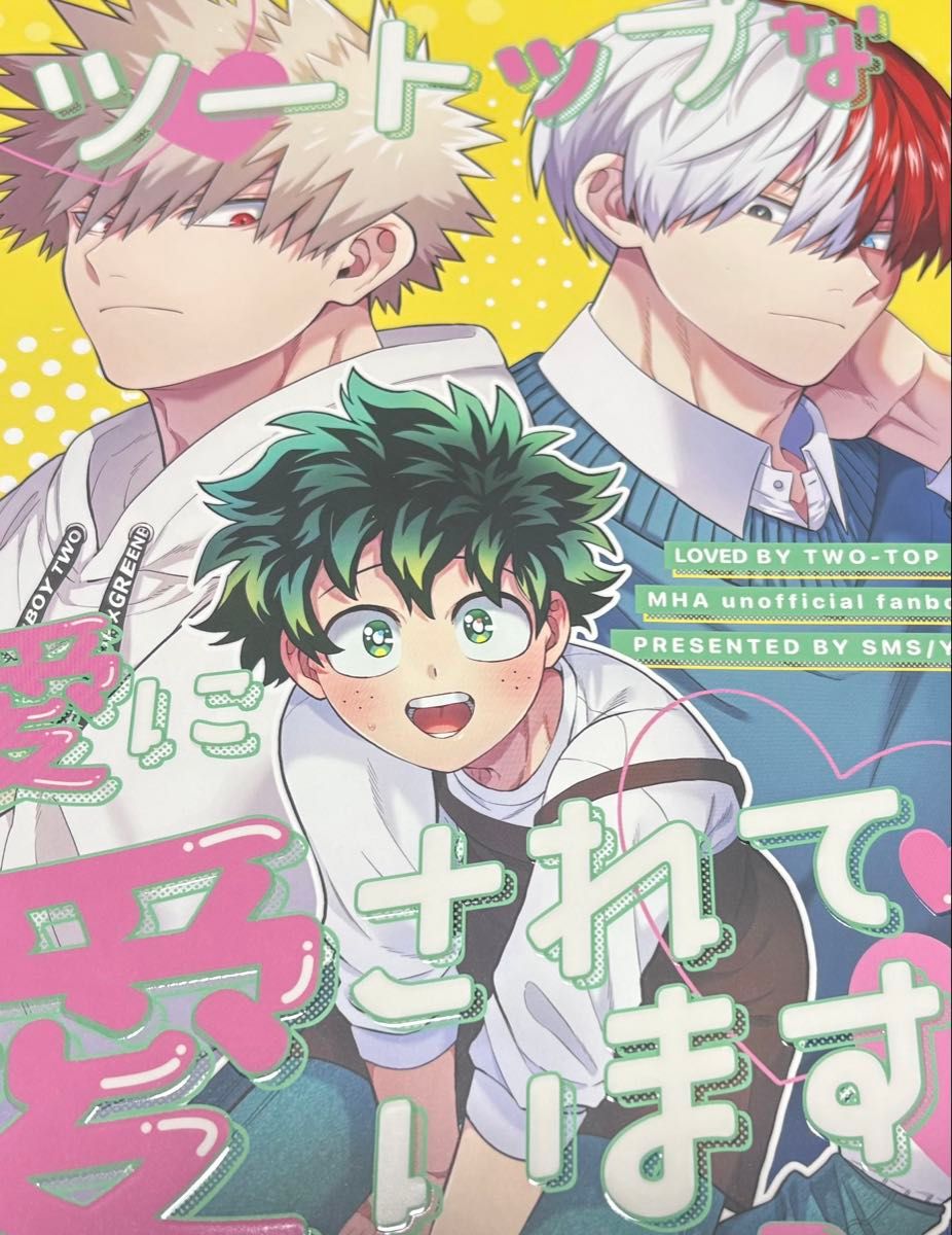 同人誌 出勝 僕のヒーローアカデミア まとめ売り ヒロアカ同人誌