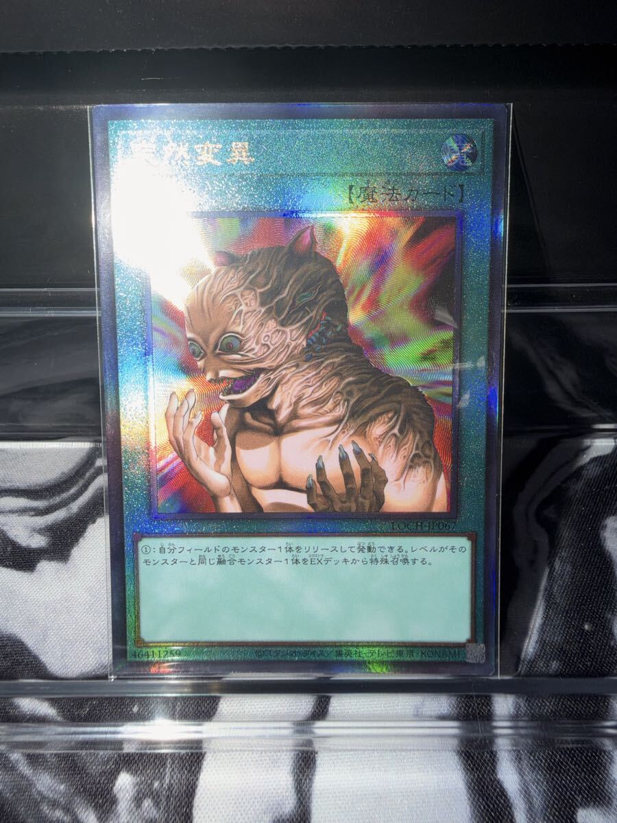 Preview of Yu-Gi-Oh! Metamorphosis Relief Ultimate LOCH-JP067