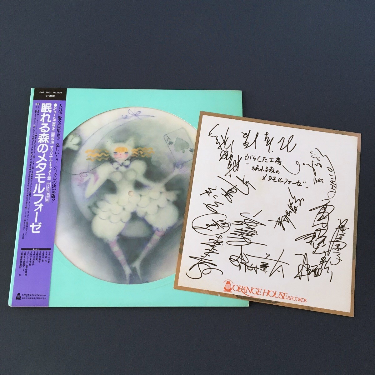 Preview of #4b90/ ピクチャ― LP / 眠れる森のメタモルフォーゼ / 富山敬, 水島裕, 白石冬美, 他 / CAP-2001 / サイン色紙付（印刷）