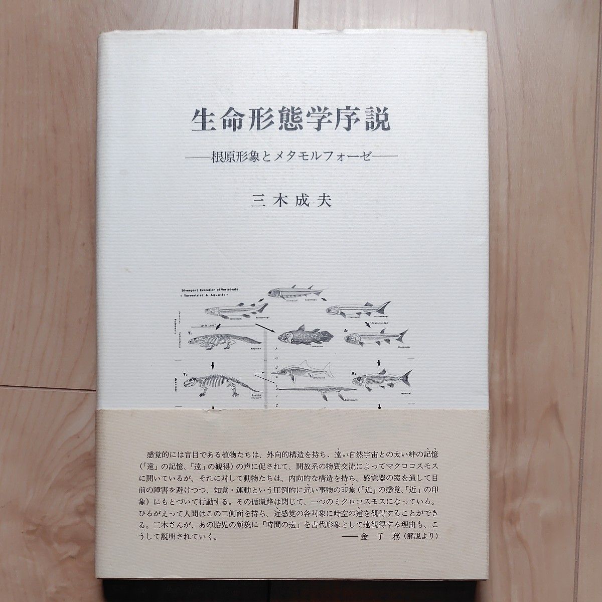 Preview of 生命形態学序説 根原形象とメタモルフォーゼ 三木成夫