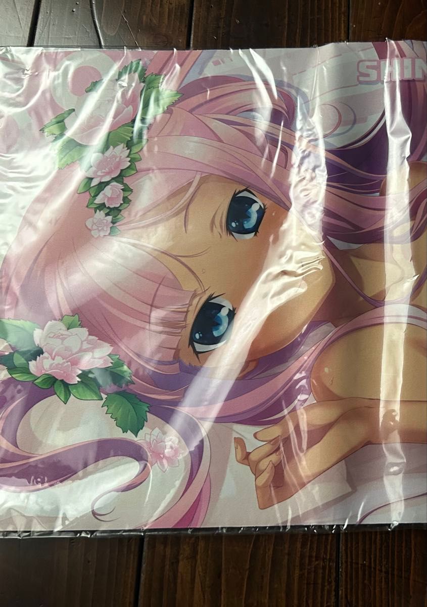 恋姫夢想