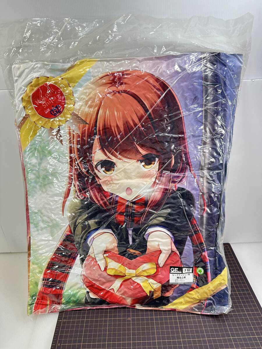 ガールフレンド+抱き枕