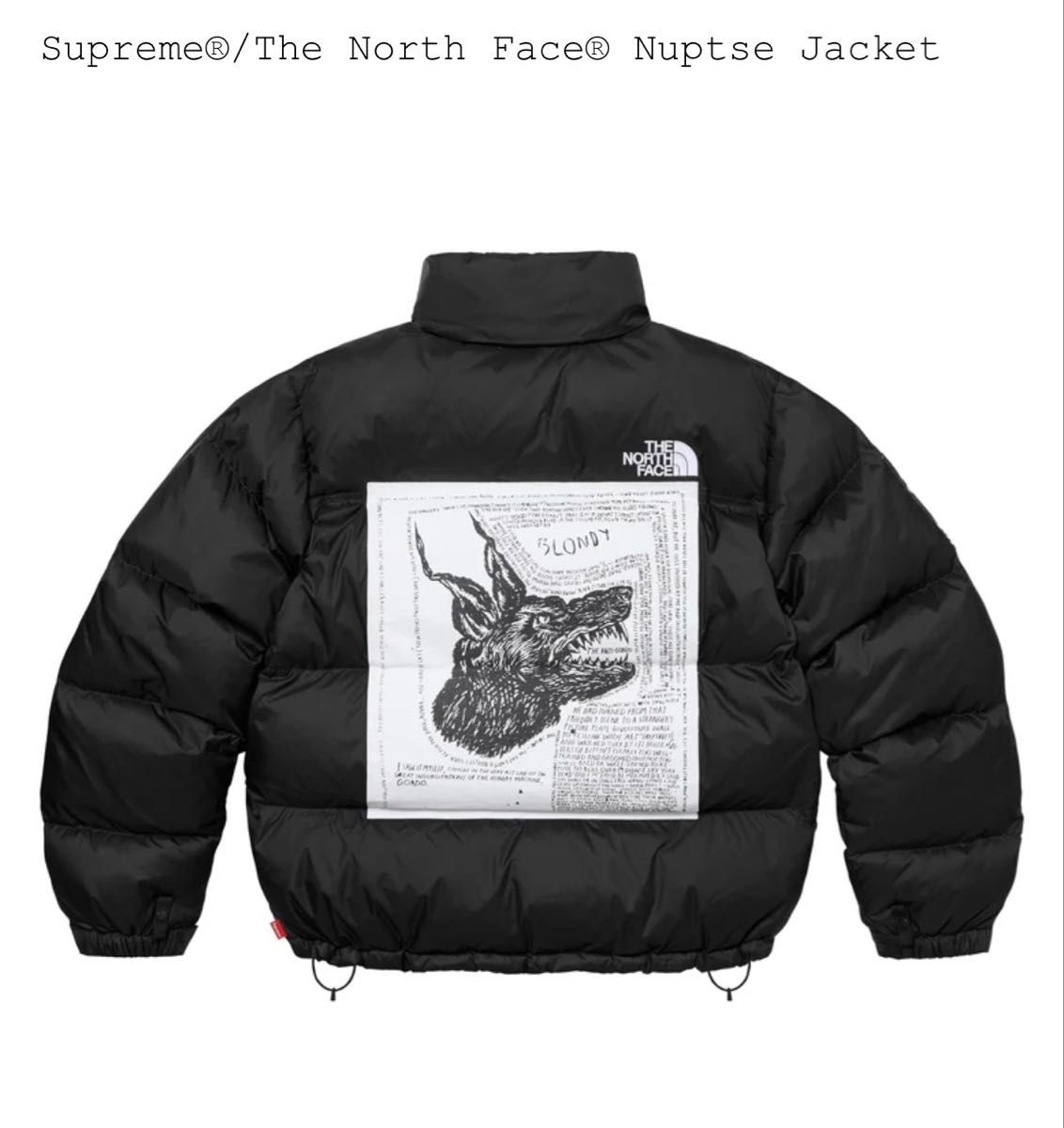 supreme The North Face Cargo Jacket M 美品 BLACK 納品書原本付 20SS