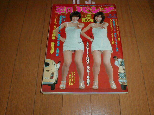 平凡パンチ 麻田奈美