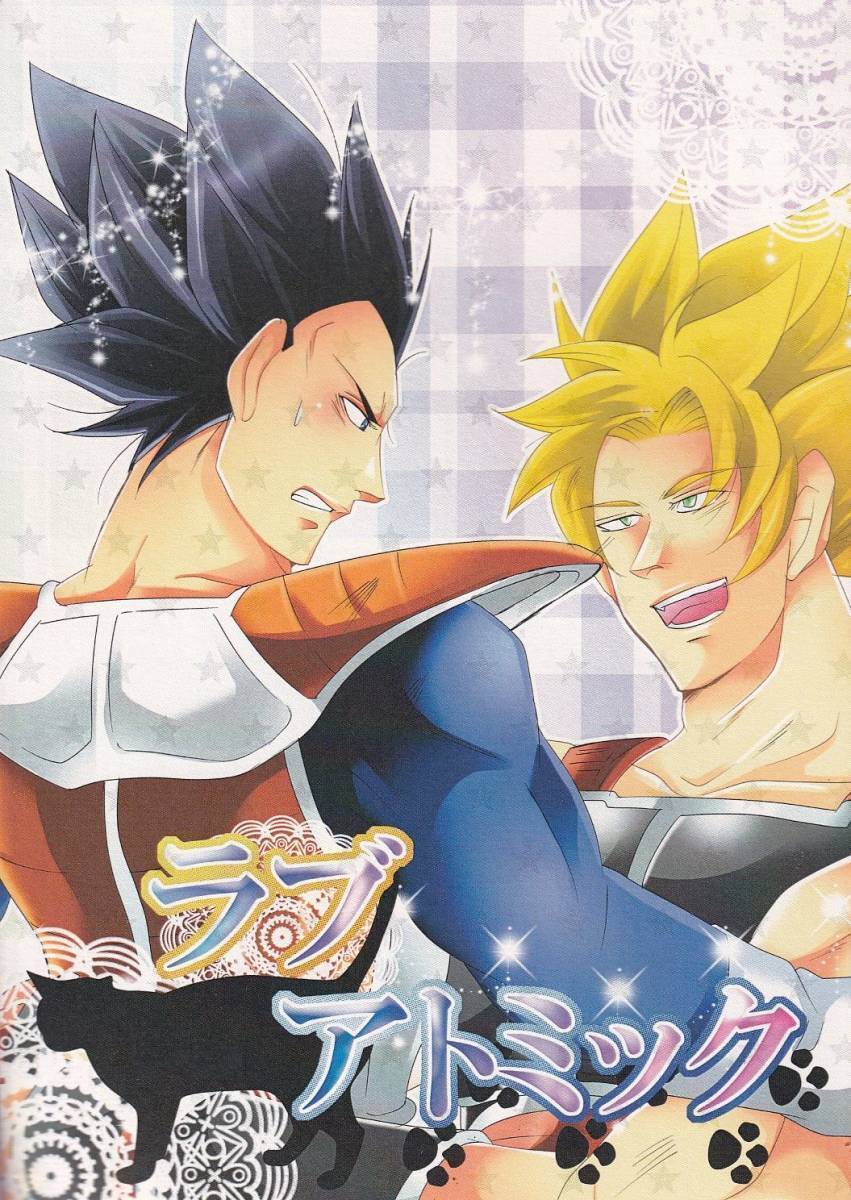 全年齢　ドラゴンボール　同人誌　カカロット×ベジータ □ドラゴンボール同人誌【カカベジ/カカロット×ベジータ】□ico-n