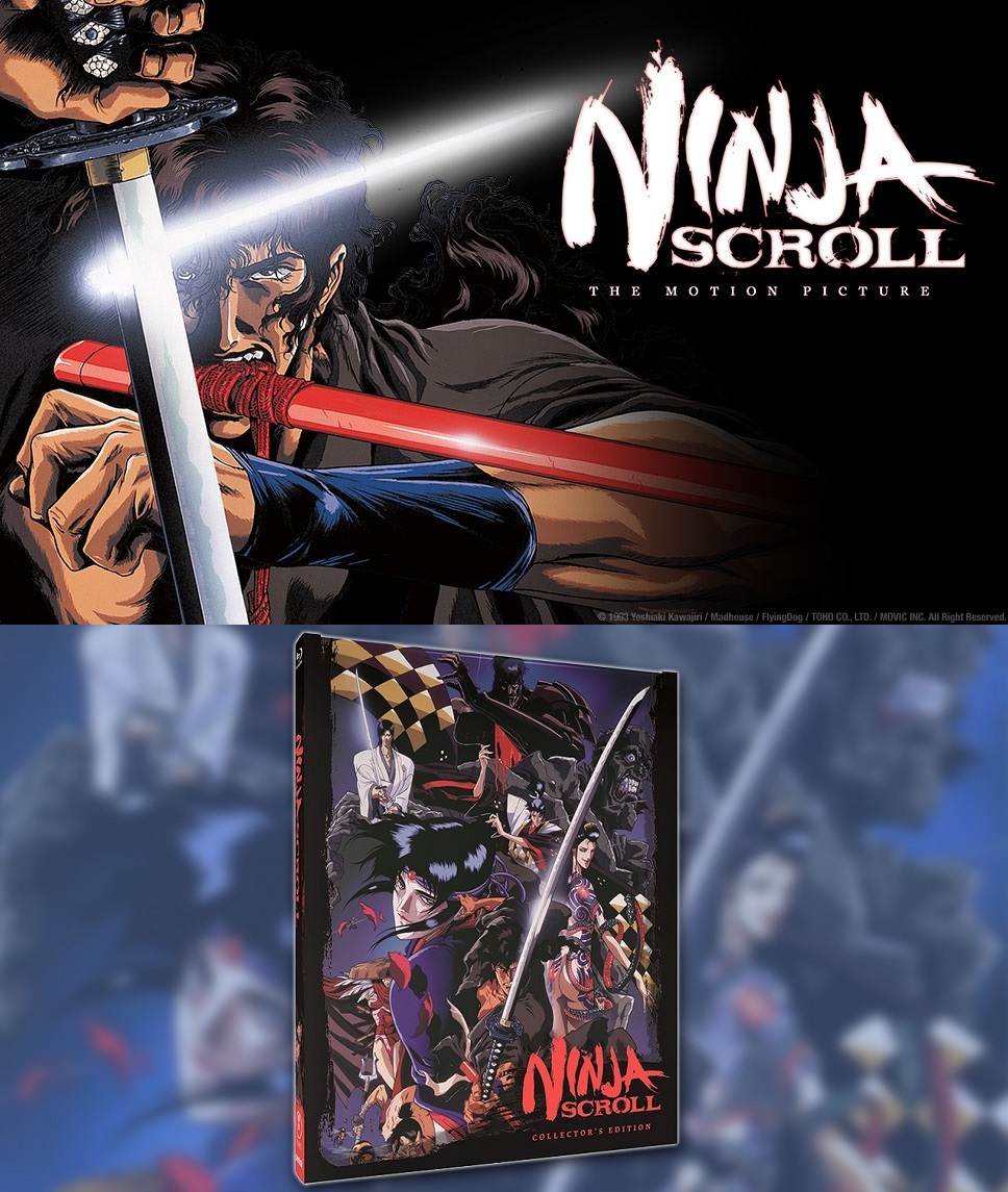 中古】[PS2] Kunoichi-忍-(くのいち) セガ (20031204)（【中古