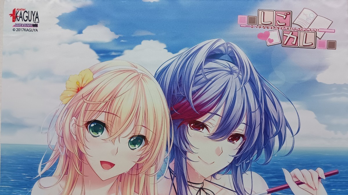 ねぇねぇ姉 ソフマップ特典タペストリー /choco-chip アトリエかぐや