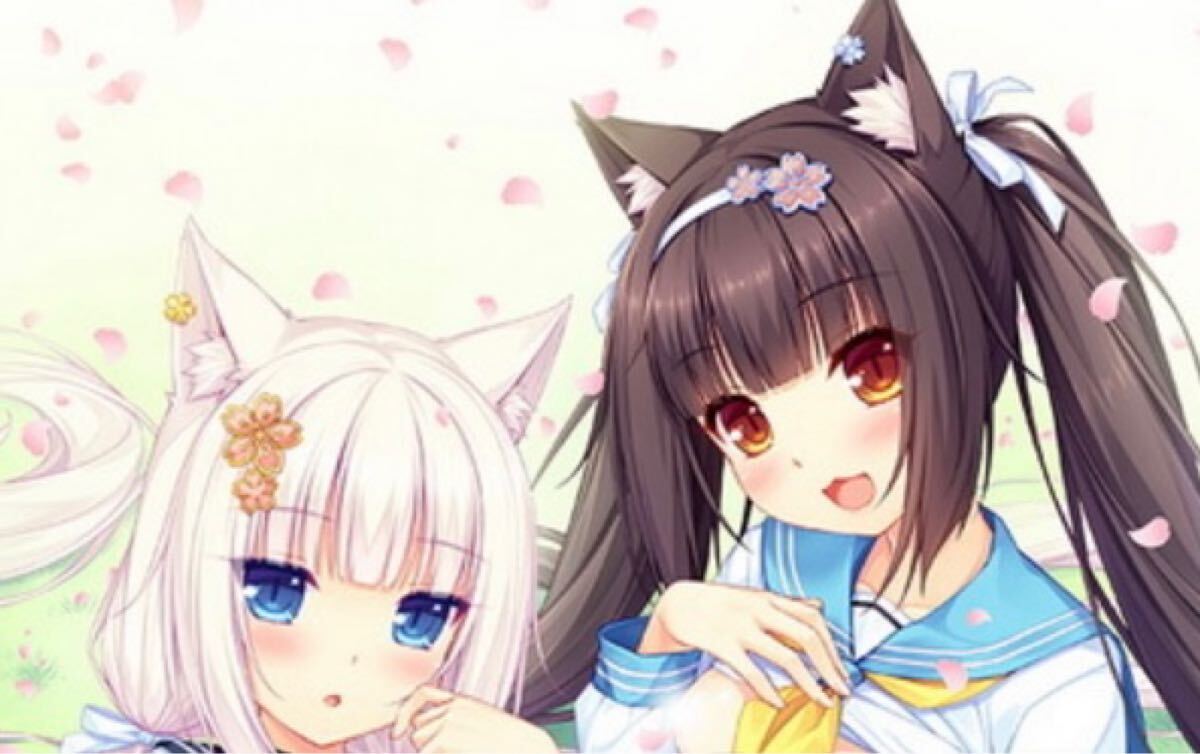 ネコぱら10周年展 in 上野マルイ B2タペストリー グッズ-タペストリー】ネコぱら10周年展in上野マルイ B2