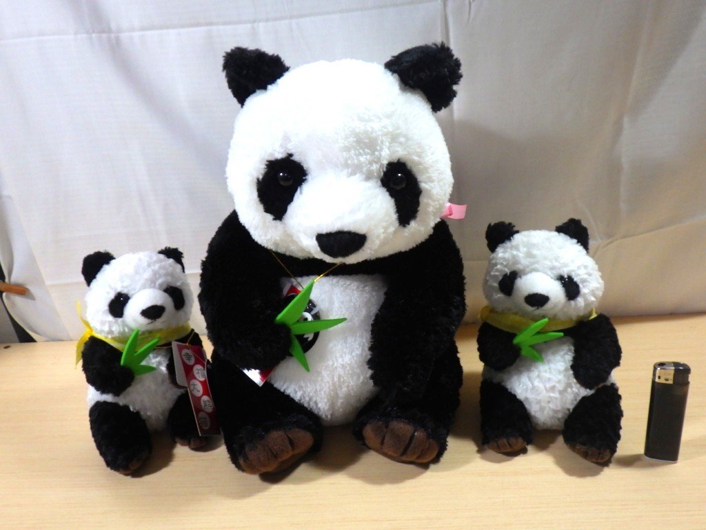 テディベア　パンダ　peas 週末にあったパンダクラスの最終回🐼 参加してかわいいパンダを