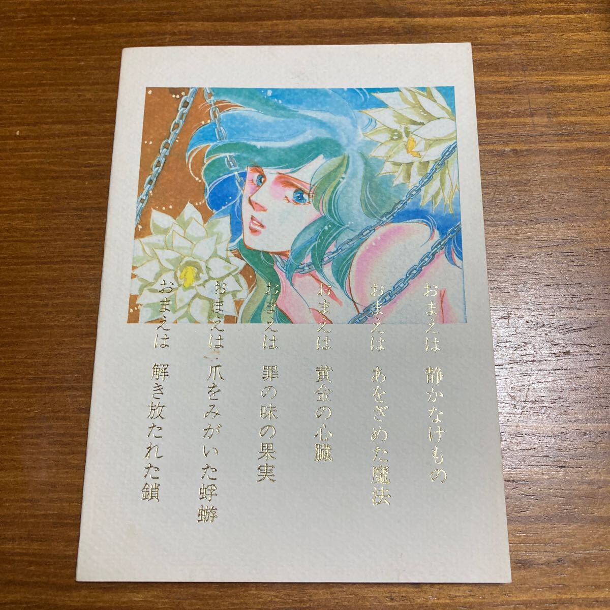 聖闘士星矢　聖闘士駄玩大系　セイントセイヤ　グッズ　資料系同人誌　二月の丘 新品 聖闘士駄玩大系 同人誌 聖闘士星矢 グッズ 二月の丘 資料性
