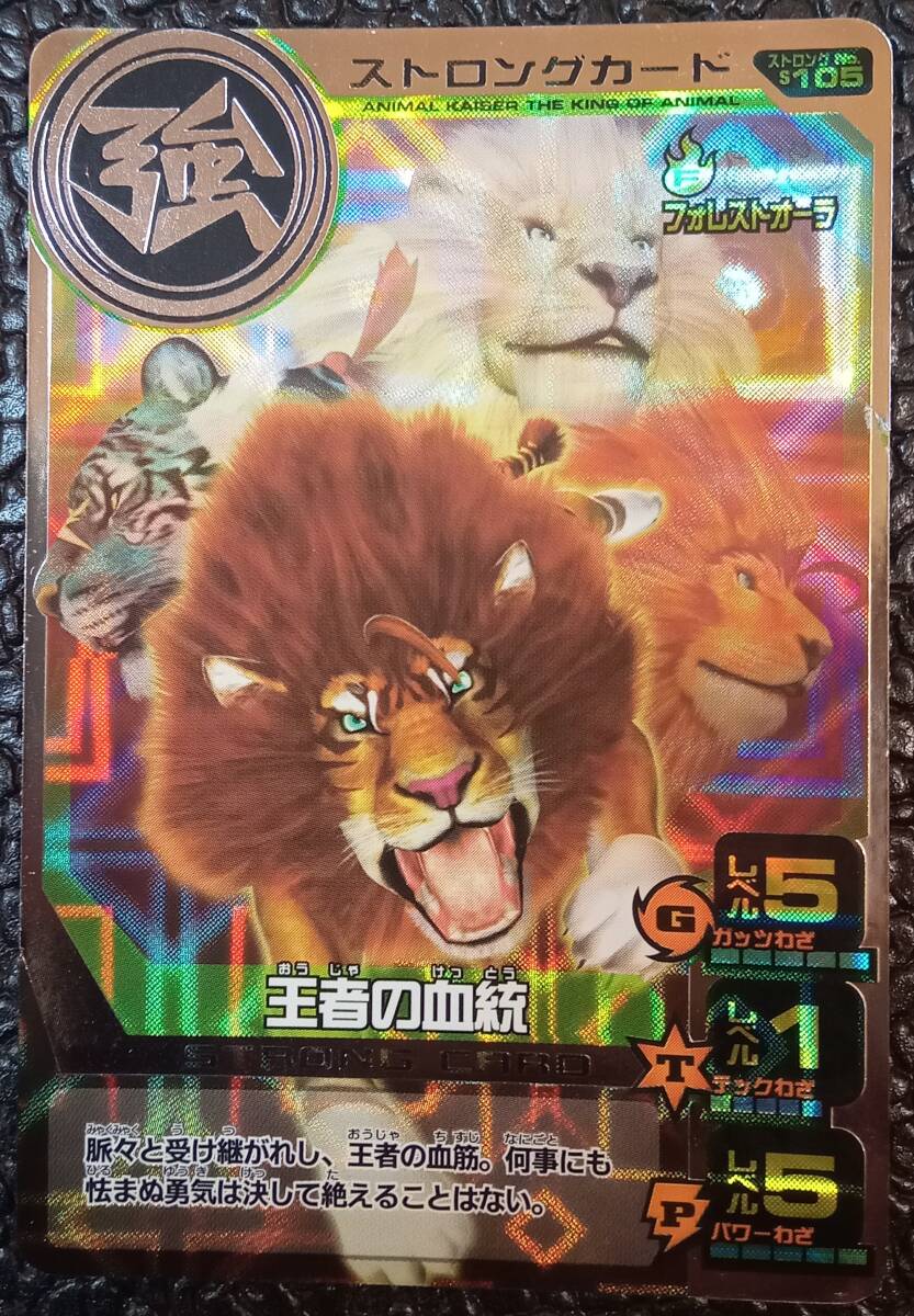 百獣大戦 アニマルカイザー