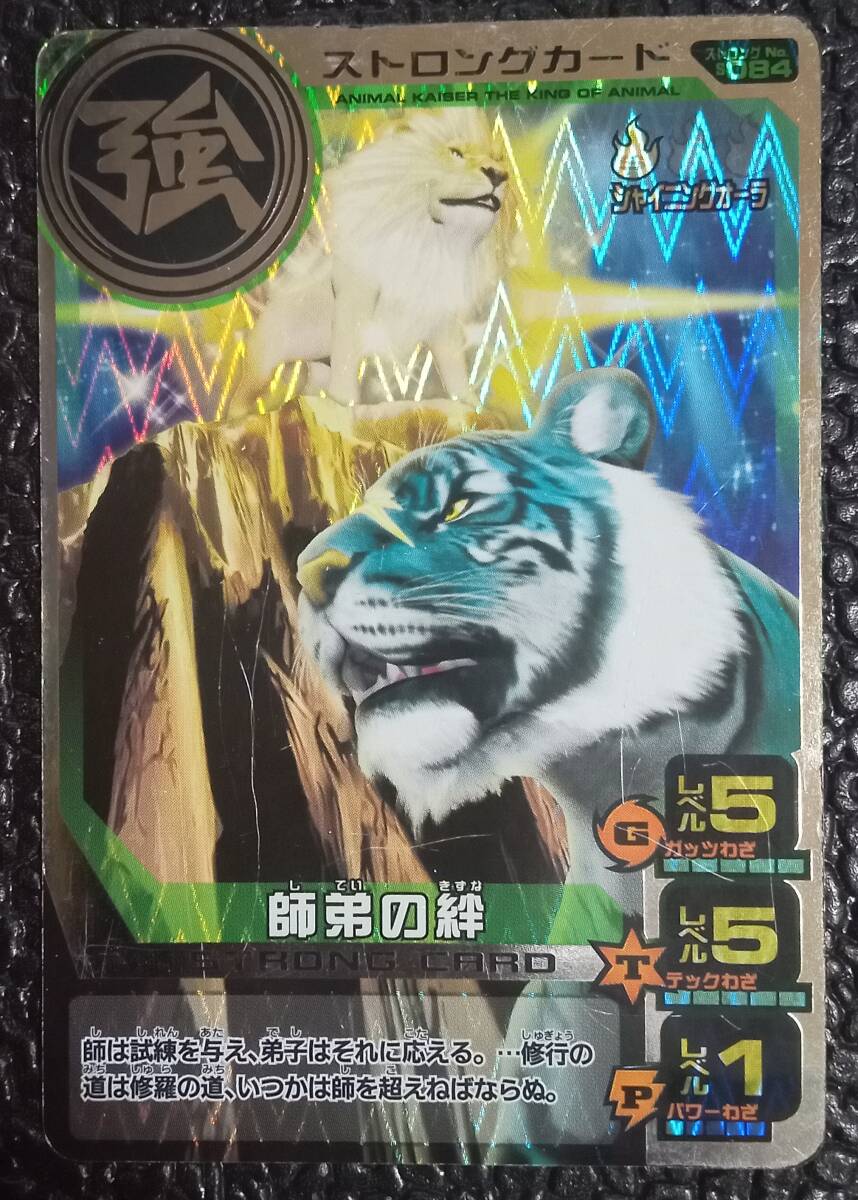 百獣大戦 アニマルカイザー