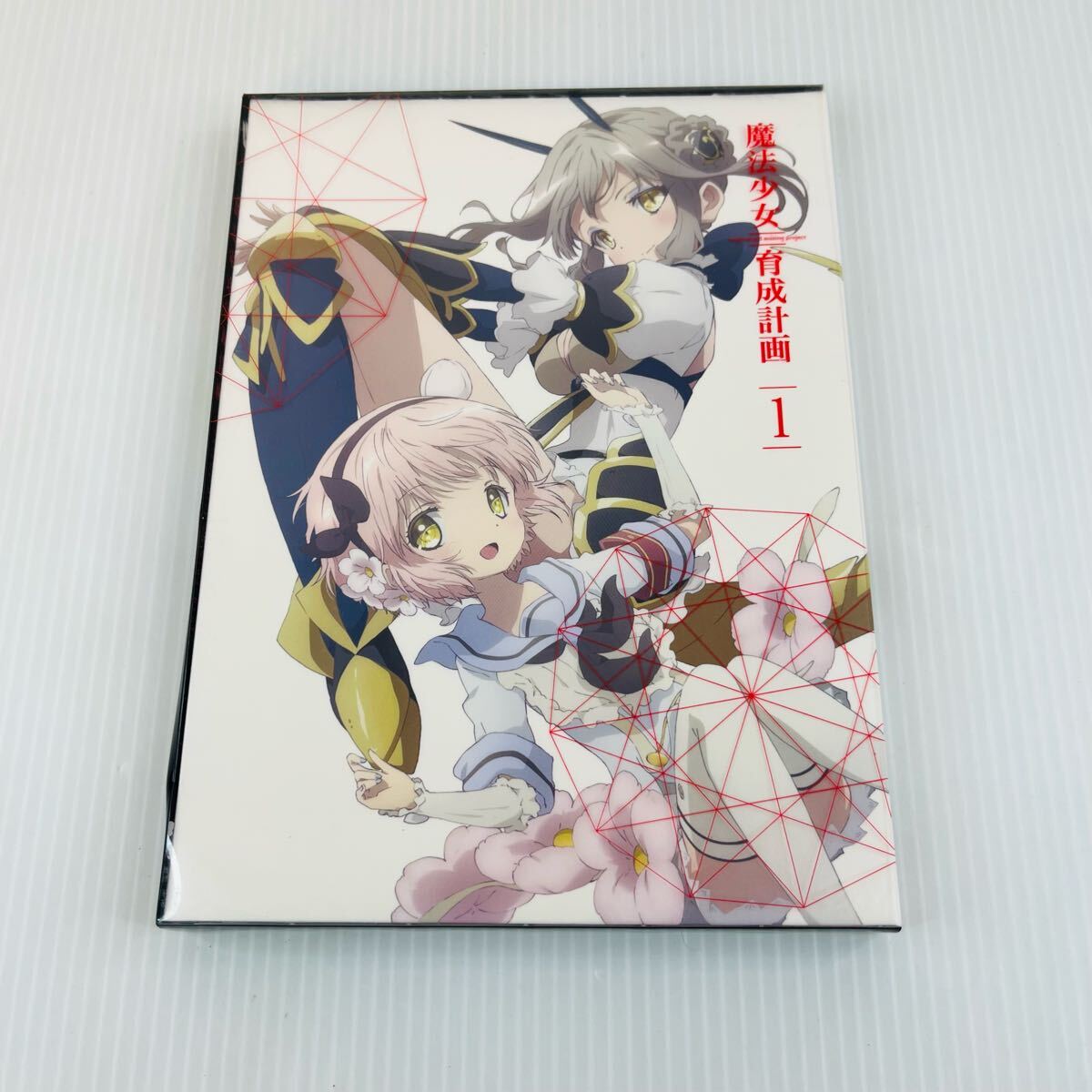 28191✨️魔法少女育成計画 リップル 1/7 完成品 ディ・モールトベネ