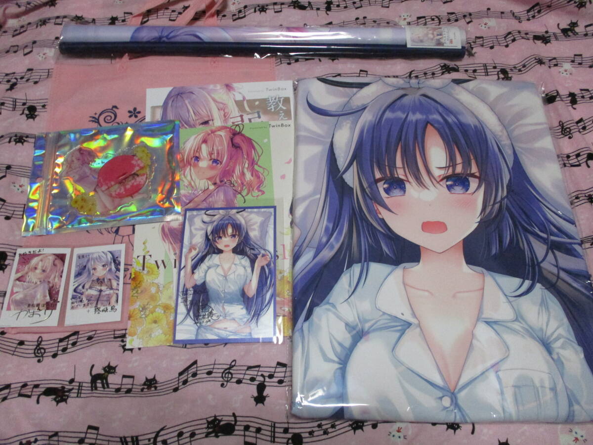 twinbox 抱き枕