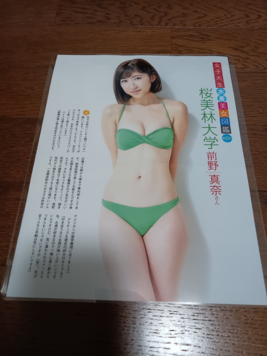 女子大水着 NIKE レディース フィットネス水着 セパレート 女性 ナイキ