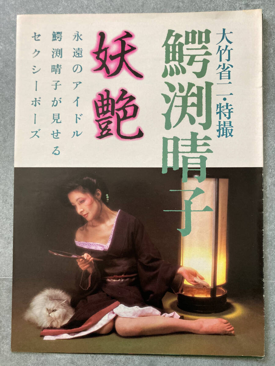 鰐淵晴子／イッピー•ガール•イッピー　レコード　LP JMC-5018 見本盤 鰐淵晴子／イッピー•ガール•イッピー レコード LP JMC-5018 見本