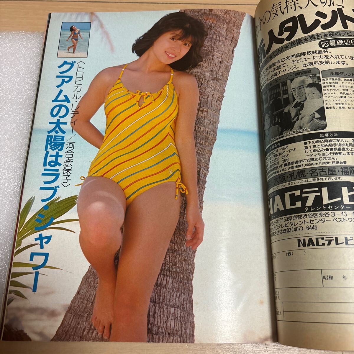 見事な創造力 Search Results for  その他
