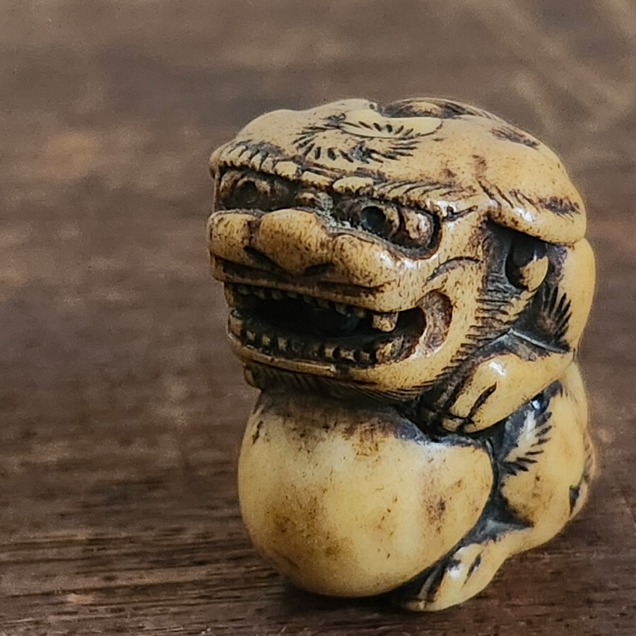 Risultati della ricerca per 