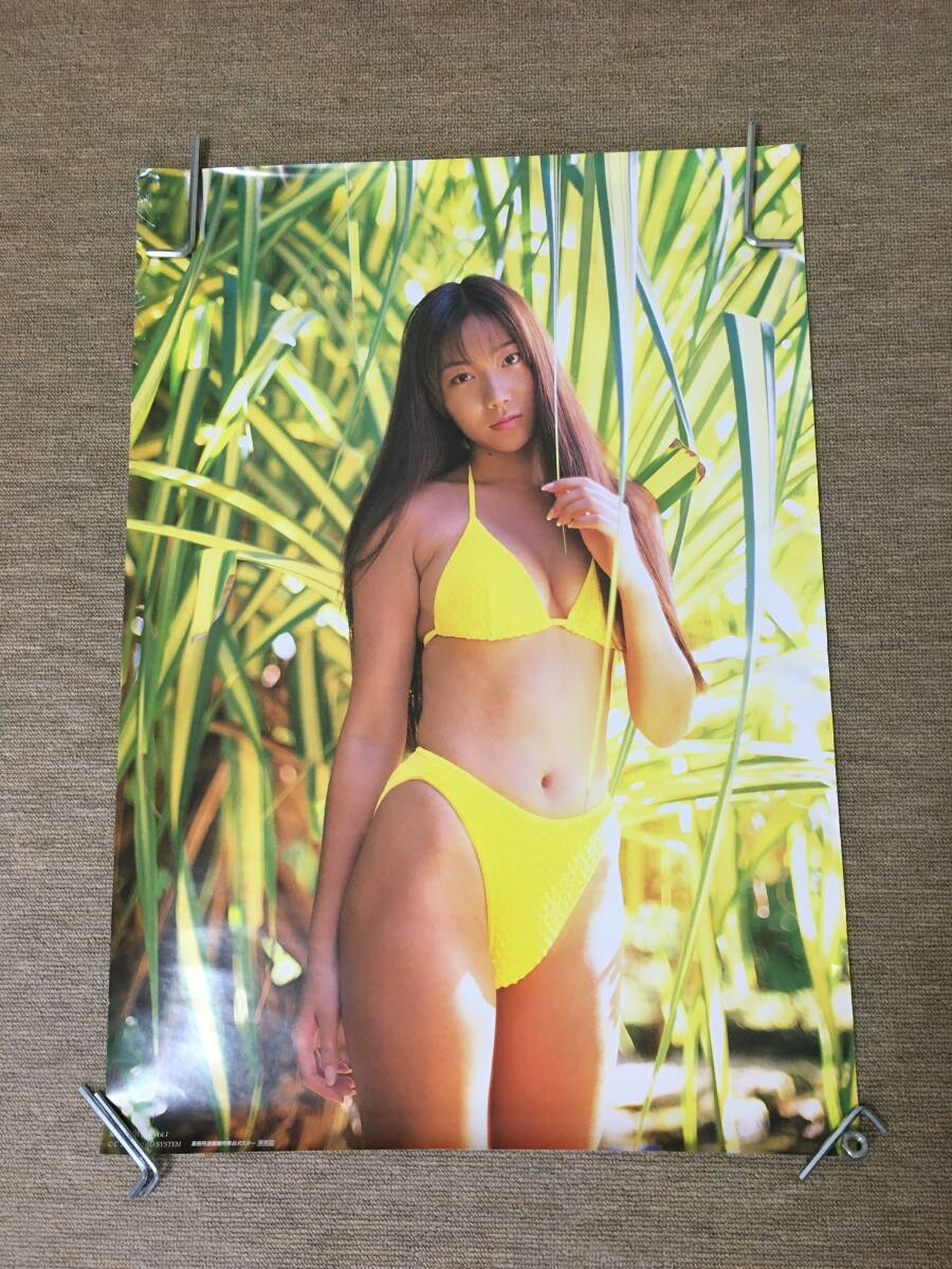 松田千奈 三宮位知子 Water Melon ウォーターメロン DVD