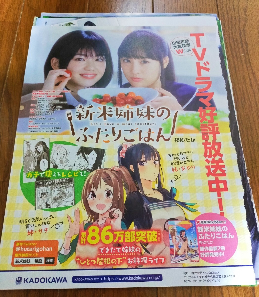 ▲限定１名様▲グラビア▲大友花恋▲切り抜きクリアブック3冊▲ △限定1名様△グラビア△大友花恋△切り抜きクリアブック3冊