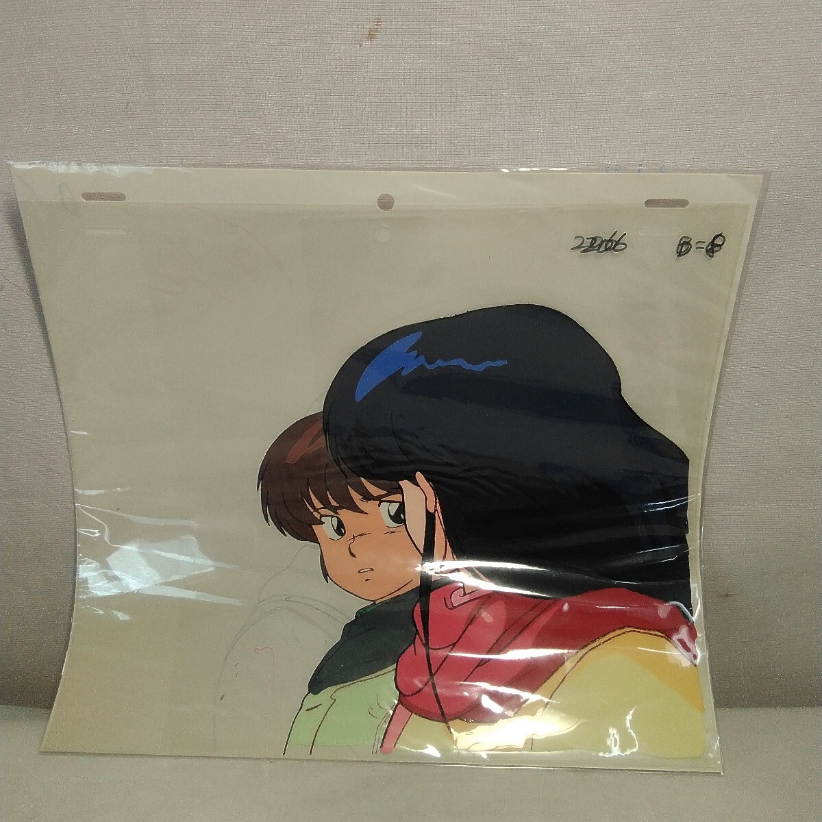 めぞん一刻