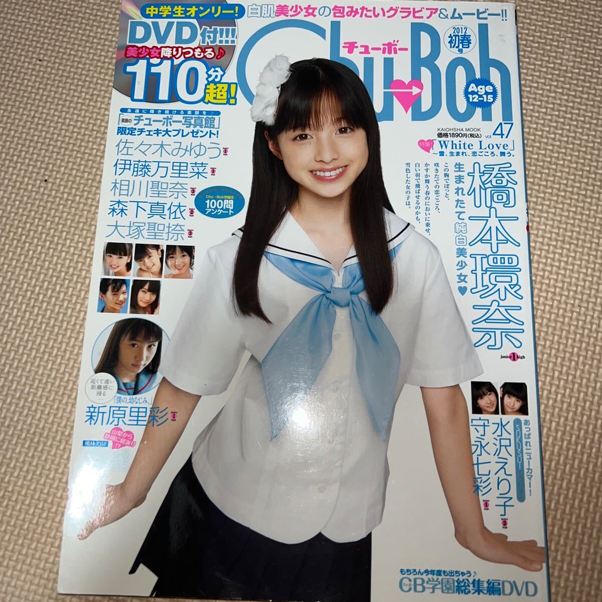 水沢えり子 おそうじ大好き DVD