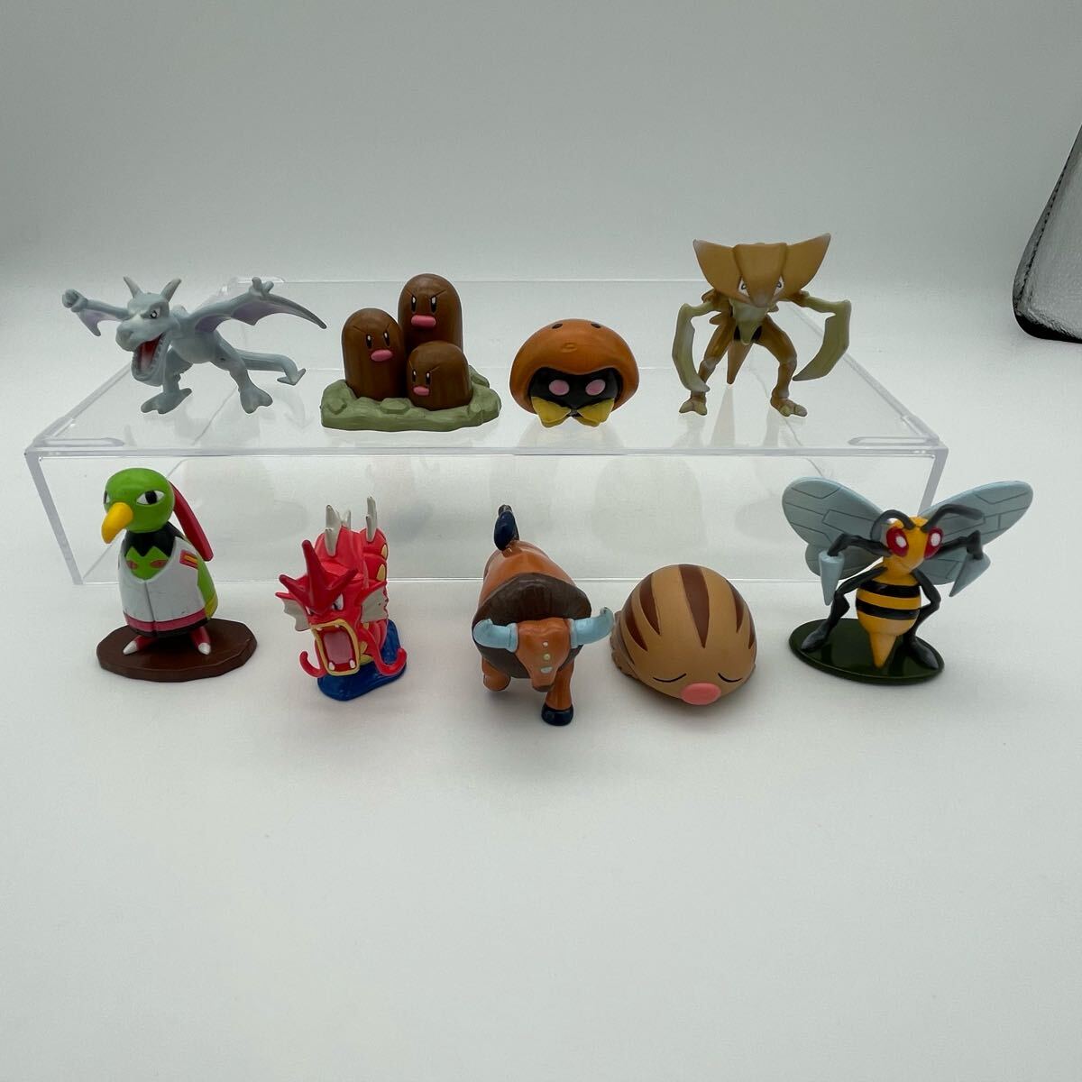 ポケモン モンコレ 色違い