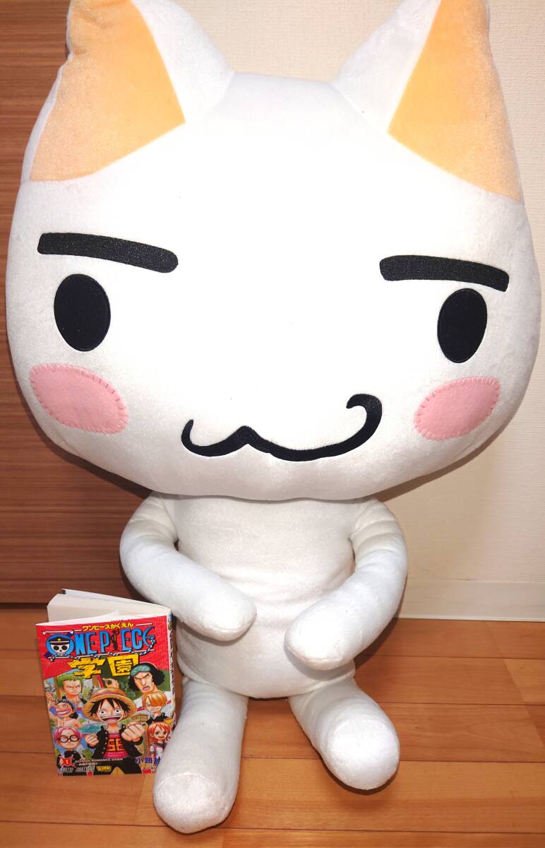 Résultats de la recherche pour 