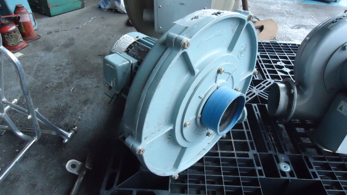 電動送風機　EC-H15HT-R313　3相200V 未使用品 昭和電機 EC-H15-R313 送風機 万能シリーズ(Eタイプ) コンパクト