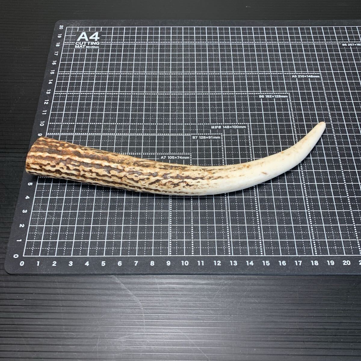 緑屋*南 □5 時代物 鹿角 根付 2点 重約50g *041210 #