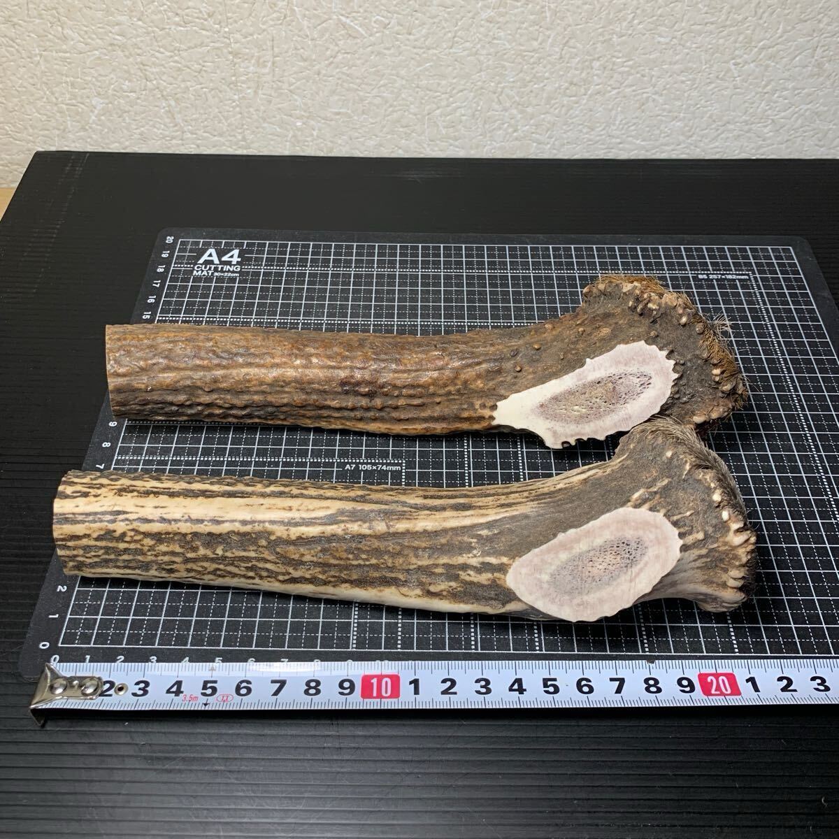 根付け 鹿角