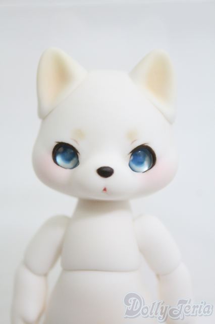 cocoriang　kumukuku　ディーラー様　アウトフィット　セット kumukuku初回受注のご案内 | risubaco