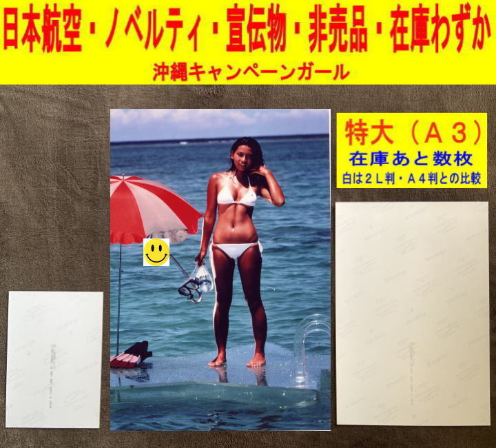 希少レア 日本航空 JAL 日航ジェットプランで沖縄へ 1982年 昭和57年