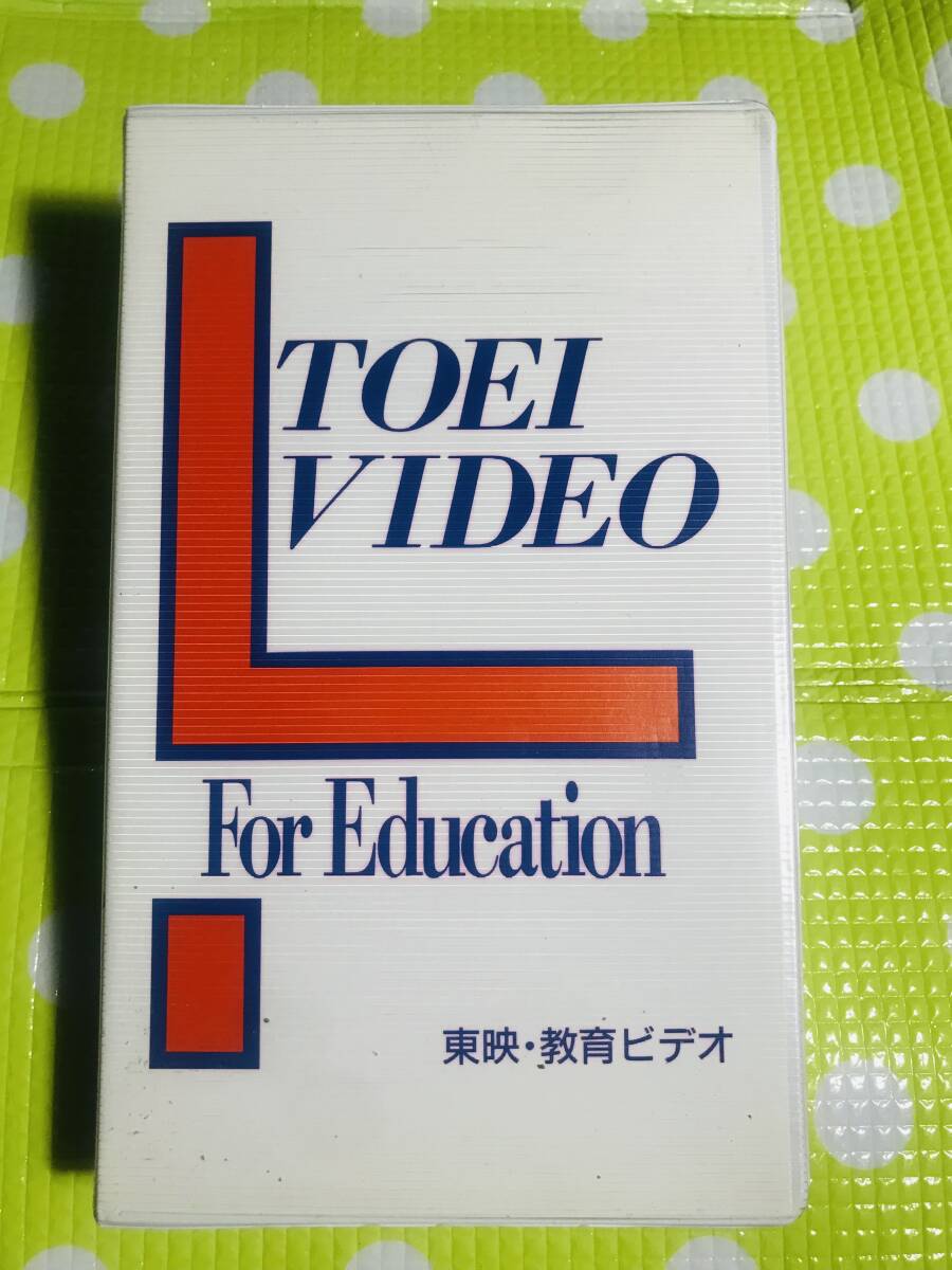 寓教於樂