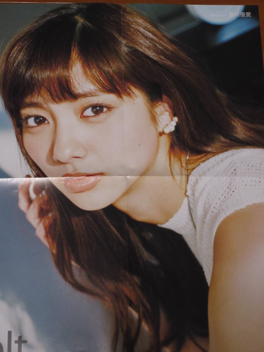 新川優愛 直筆サイン入りチェキ 2025年最新】新川優愛 サインの人気アイテム - メルカリ