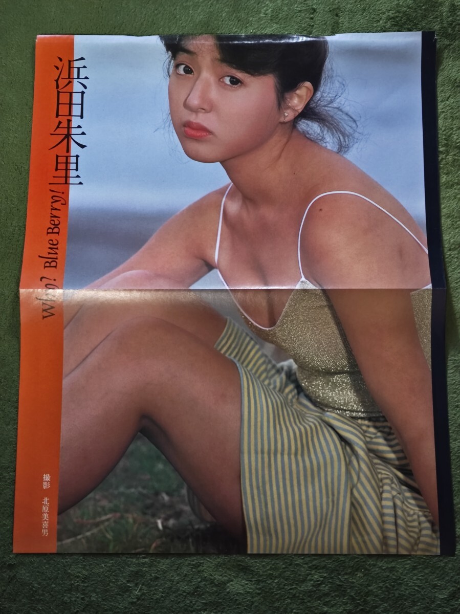 浜田朱里