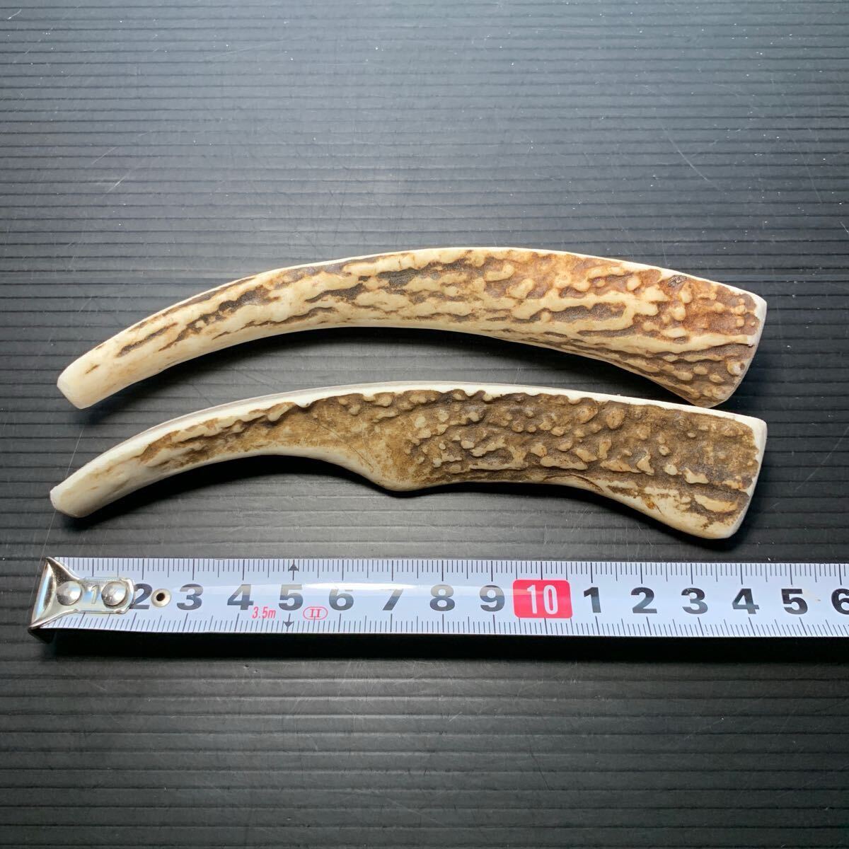 天然素材　鹿の角　珊瑚　根付　提げ物 北海道産 天然鹿の角 端材セット！ : エヴァンス物産 - 通販