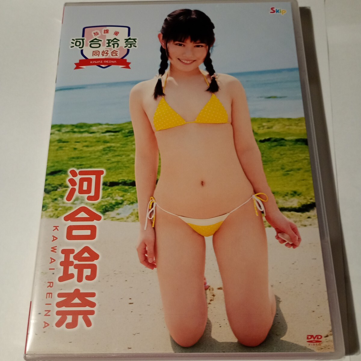 河合玲奈 DVD 直筆サイン入り 河合玲奈